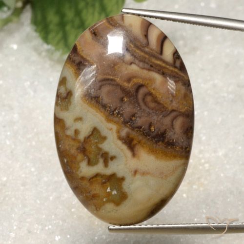 28.34ct 天然 彩色 碧玉, 椭圆形, 不透明