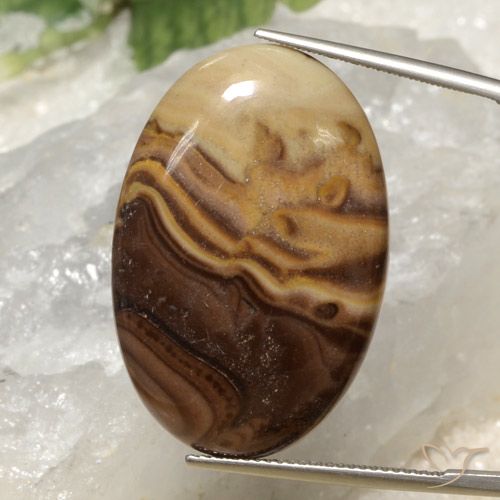 26.36ct 天然 彩色 碧玉, 椭圆形, 不透明, Photo A