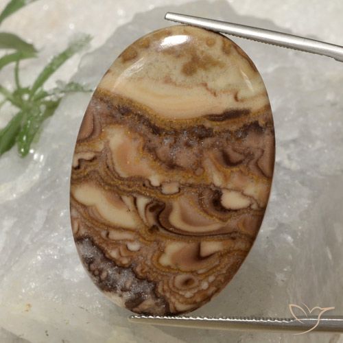 23.33ct 天然 彩色 碧玉, 椭圆形, 不透明