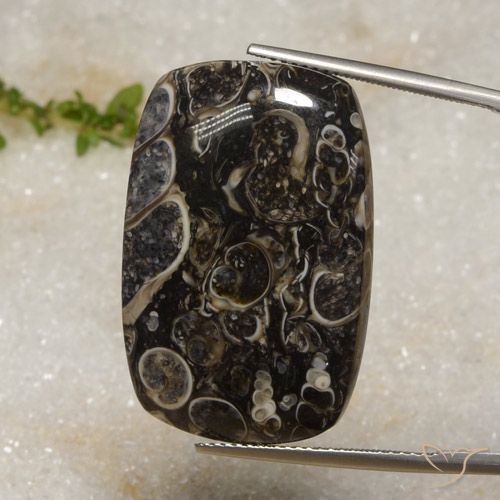33.92ct 天然 彩色 碧玉, 软垫, 不透明