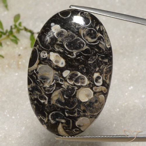 40.51ct 天然 彩色 碧玉, 椭圆形, 不透明