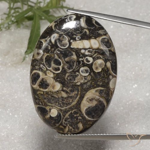 36.40ct 天然 彩色 碧玉, 椭圆形, 不透明