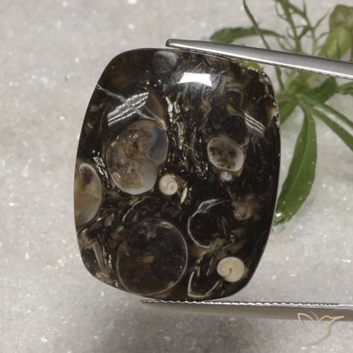 23.10ct 天然 彩色 碧玉, 软垫, 不透明