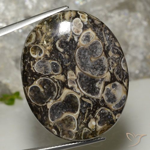 37.90ct 天然 彩色 碧玉, 椭圆形, 不透明
