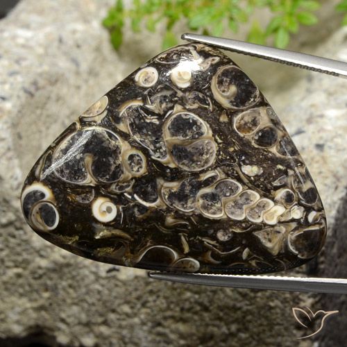 41.13ct 天然 彩色 碧玉, 胖三角形, 不透明, Photo A