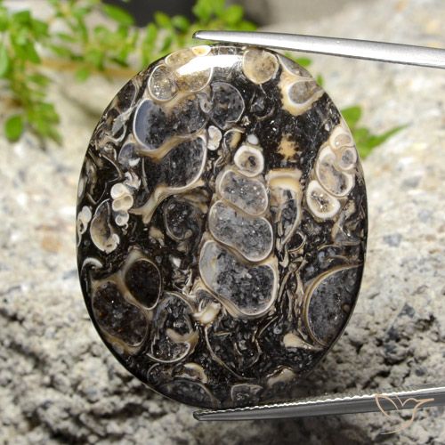 34.14ct 天然 彩色 碧玉, 椭圆形, 不透明