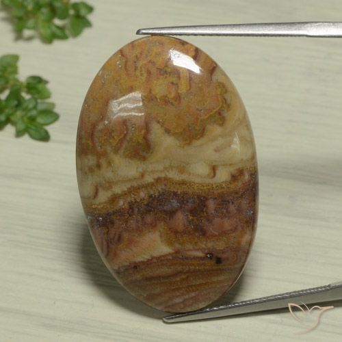25.93ct 天然 彩色 碧玉, 椭圆形, 不透明