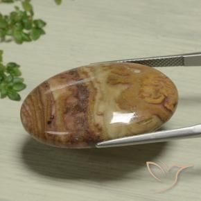 25.93克拉天然碧玉，椭圆形，不透明