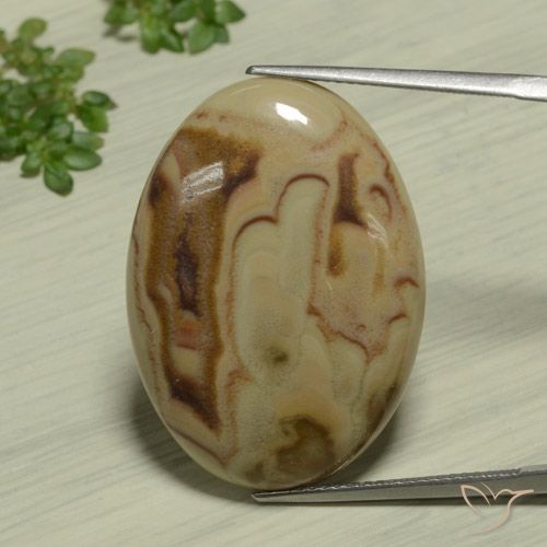 22.89ct 天然 彩色 碧玉, 椭圆形, 不透明
