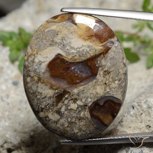 29.47ct 天然 彩色 碧玉, 椭圆形, 不透明