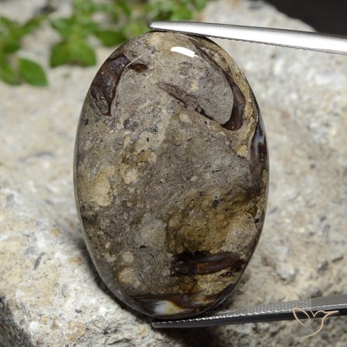 42.92ct 天然 彩色 碧玉, 椭圆形, 不透明