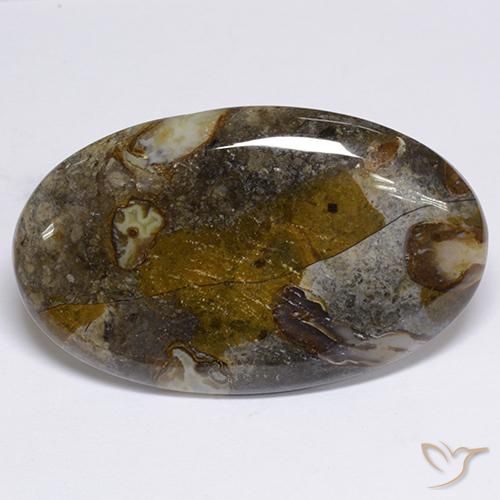 48.91ct 天然 彩色 碧玉, 椭圆形, 不透明
