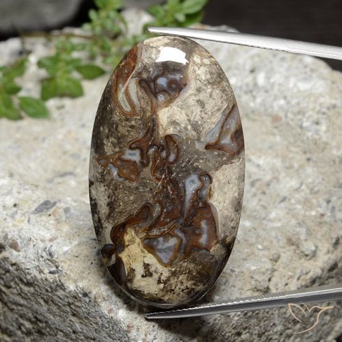 46.44ct 天然 彩色 碧玉, 椭圆形, 不透明