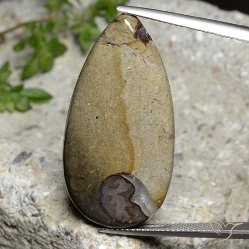 24.26ct 天然 彩色 碧玉, 梨形, 不透明