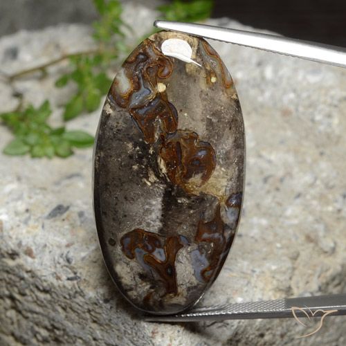 47.90ct 天然 彩色 碧玉, 椭圆形, 不透明