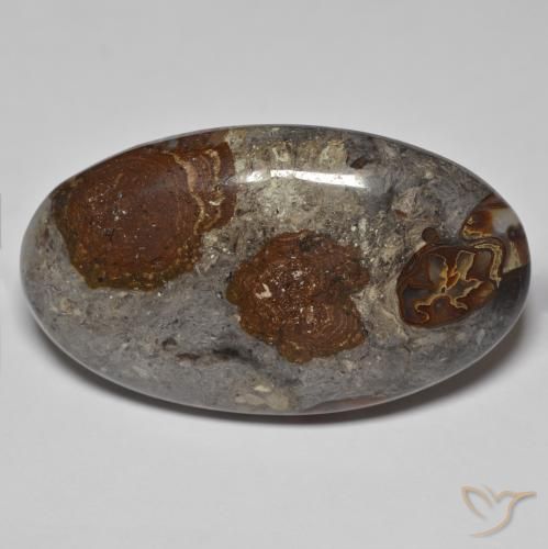 46.26ct 天然 彩色 碧玉, 椭圆形, 不透明, Photo A