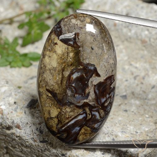 40.84ct 天然 彩色 碧玉, 椭圆形, 不透明