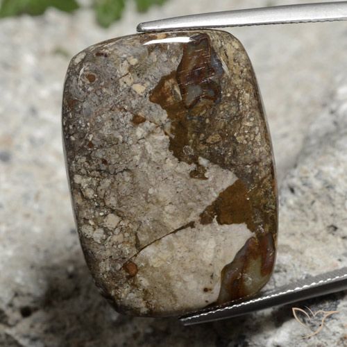 26.06ct 天然 彩色 碧玉, 软垫, 不透明
