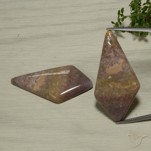 48.56ctw 天然 彩色 碧玉, 花式切割, 不透明