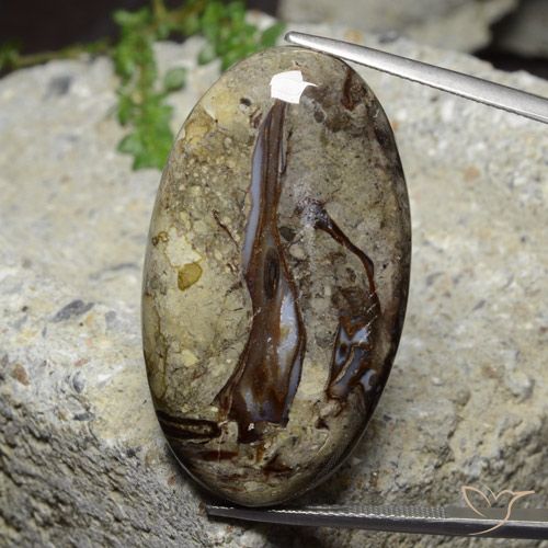 46.39ct 天然 彩色 碧玉, 椭圆形, 不透明