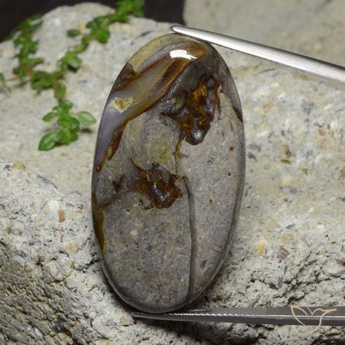 46.39ct 天然 彩色 碧玉, 椭圆形, 不透明