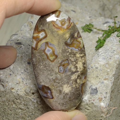 76.29ct 天然 彩色 碧玉, 椭圆形, 不透明
