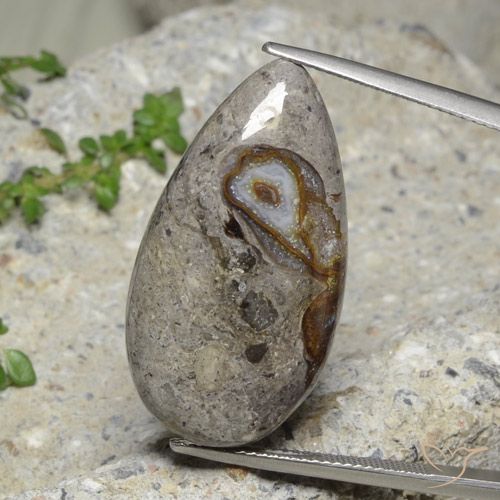 23.89ct 天然 彩色 碧玉, 梨形, 不透明