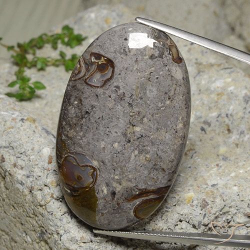 60.74ct 天然 彩色 碧玉, 椭圆形, 不透明
