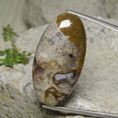 30.95ct 天然 彩色 碧玉, 椭圆形, 不透明