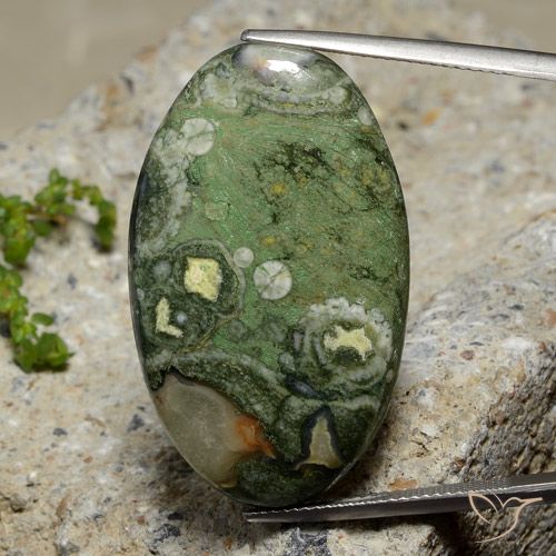 27.42ct 天然 彩色 碧玉, 椭圆形, 不透明