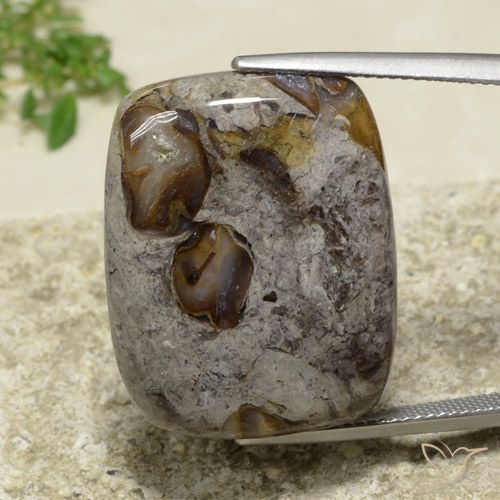 31.55ct 天然 彩色 碧玉, 软垫, 不透明