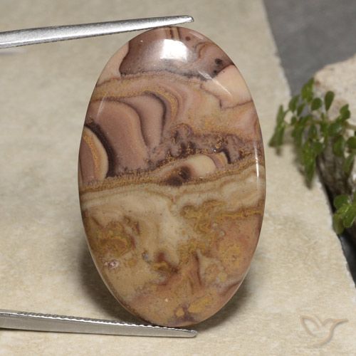 24.61ct 天然 彩色 碧玉, 椭圆形, 不透明