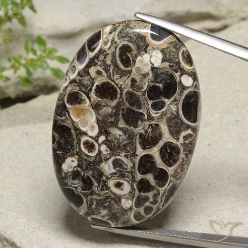 47.67ct 天然 彩色 碧玉, 椭圆形, 不透明