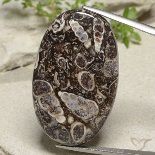 43.97ct 天然 彩色 碧玉, 椭圆形, 不透明