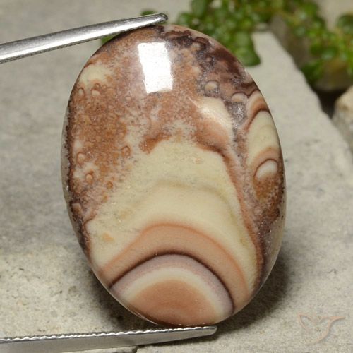 18.14ct 天然 彩色 碧玉, 椭圆形, 不透明