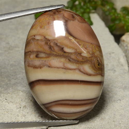 26.59克拉天然碧玉，椭圆形切割，不透明