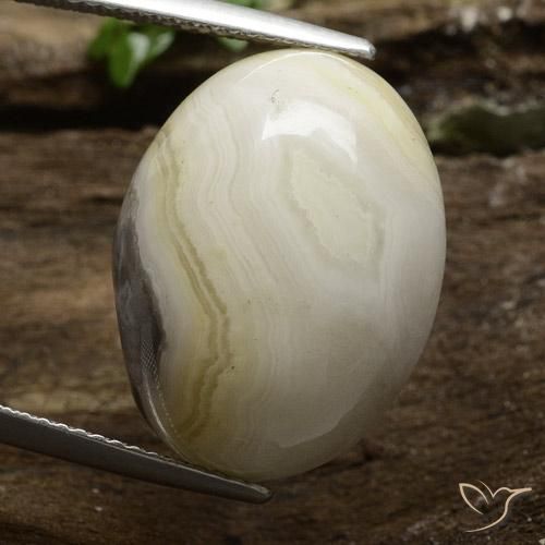 16.43ct 天然 彩色 碧玉, 椭圆形, 不透明