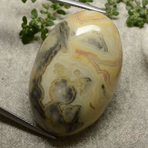 62.76ct 天然 彩色 碧玉, 椭圆形, 不透明