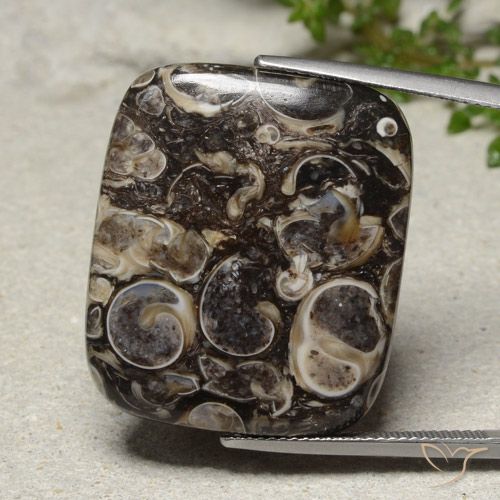 33.41ct 天然 彩色 碧玉, 软垫, 不透明