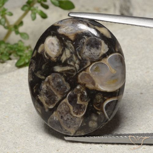 21.18ct 天然 彩色 碧玉, 椭圆形, 不透明