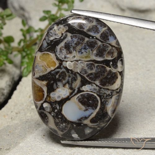 31.02ct 天然 彩色 碧玉, 椭圆形, 不透明
