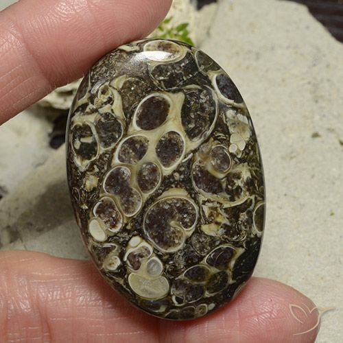 71.95ct 天然 彩色 碧玉, 椭圆形, 不透明