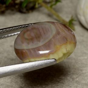 5.51克拉天然碧玉，椭圆形切割，不透明