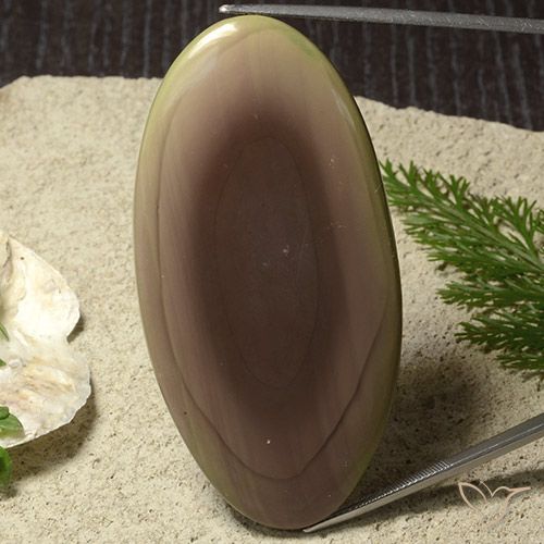 91.61ct 天然 彩色 碧玉, 椭圆形, 不透明