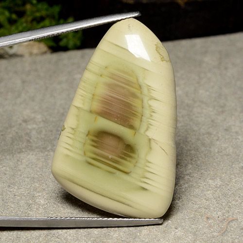 31.54ct 天然 彩色 碧玉, 花式切割, 不透明