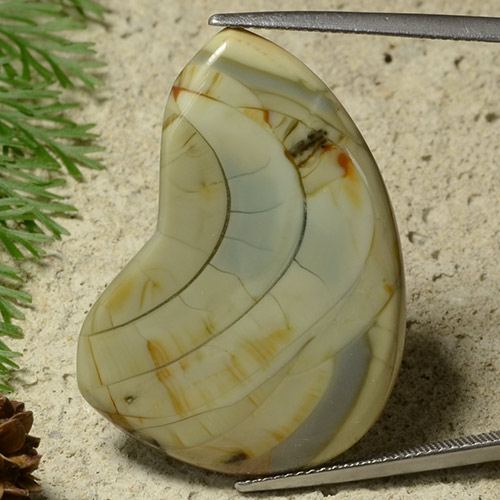 25.50克拉天然碧玉，异形，不透明