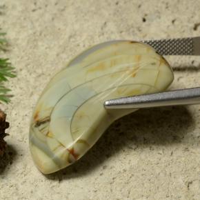 25.50克拉天然碧玉，异形，不透明