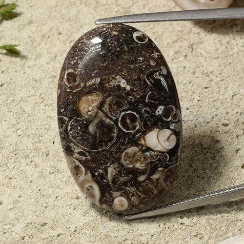 31.54ct 天然 彩色 碧玉, 椭圆形, 不透明