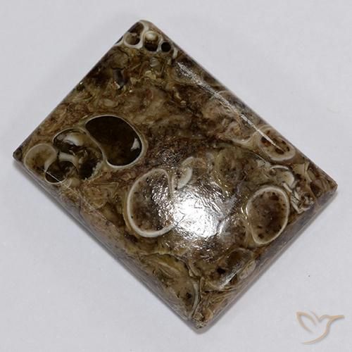 18.34ct 天然 彩色 碧玉, 狭长方形, 不透明