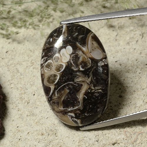 22.52ct 天然 彩色 碧玉, 椭圆形, 不透明
